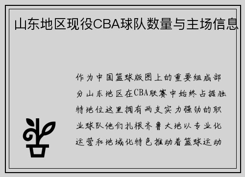 山东地区现役CBA球队数量与主场信息